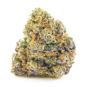 Purple Monkey