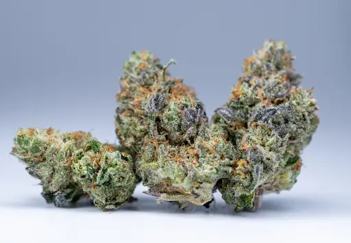 buy Pink Champagne strain