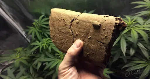 What Do I need to Make Hash