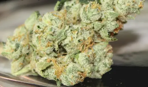 What is Banana OG Strain