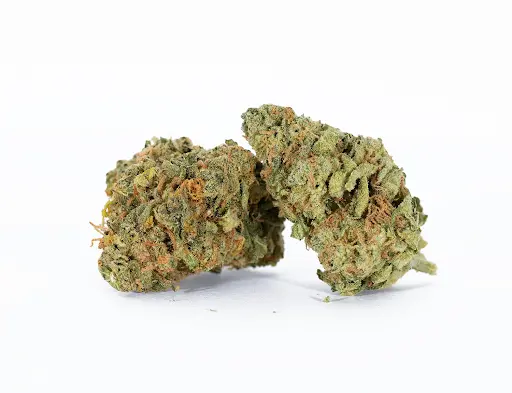 Is Alien OG a Good Strain?