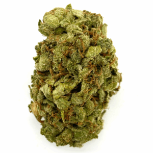 Mango OG Sativa