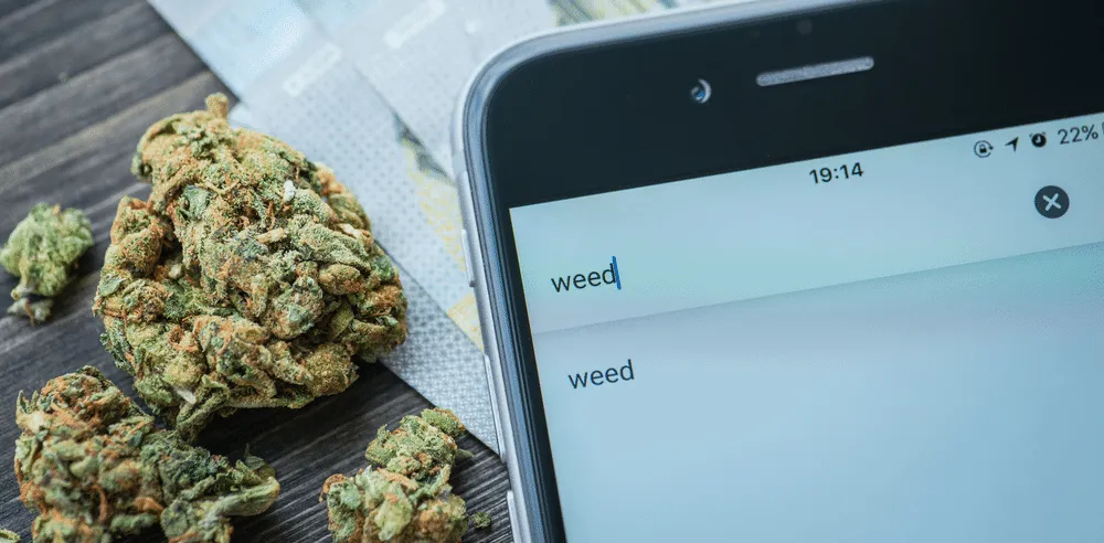À propos de nous acheter-de-la-marijuana-en-ligne - À propos de nous - 0