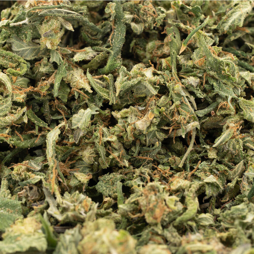 AAA-Indica-Shake-2