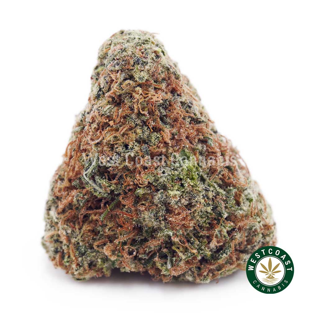 Buy Alice in Wonderland AAAA wc cannabis weed dispensary & online pot shop Buy Alice in Wonderland AAAA wc cannabis weed dispensary & online pot shop