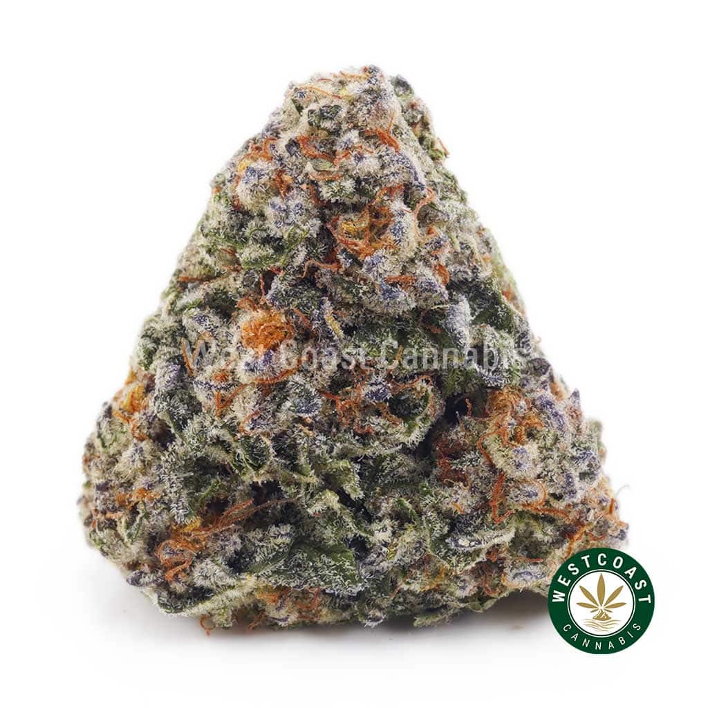Buy Animal Cookies AAA wc cannabis weed dispensary & online pot shop Buy Animal Cookies AAA wc cannabis weed dispensary & online pot shop
