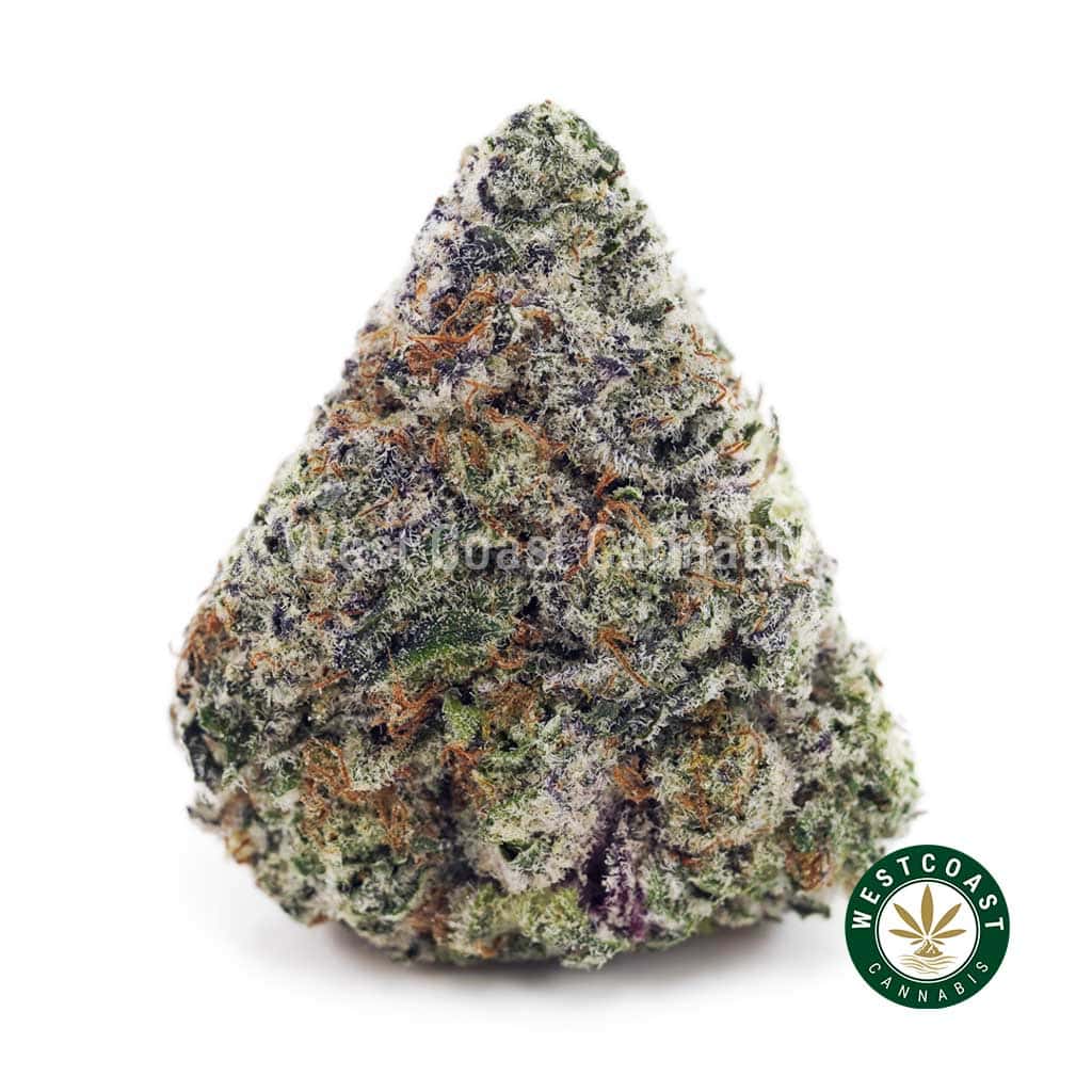 Buy Apple Fritter AAAA+ wc cannabis weed dispensary & online pot shop Buy Apple Fritter AAAA+ wc cannabis weed dispensary & online pot shop
