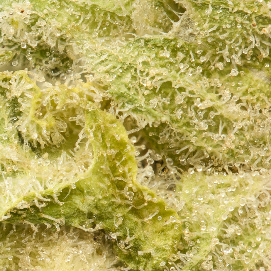 BC-Kush-Macro-Shot