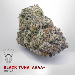 Black Tuna LSO