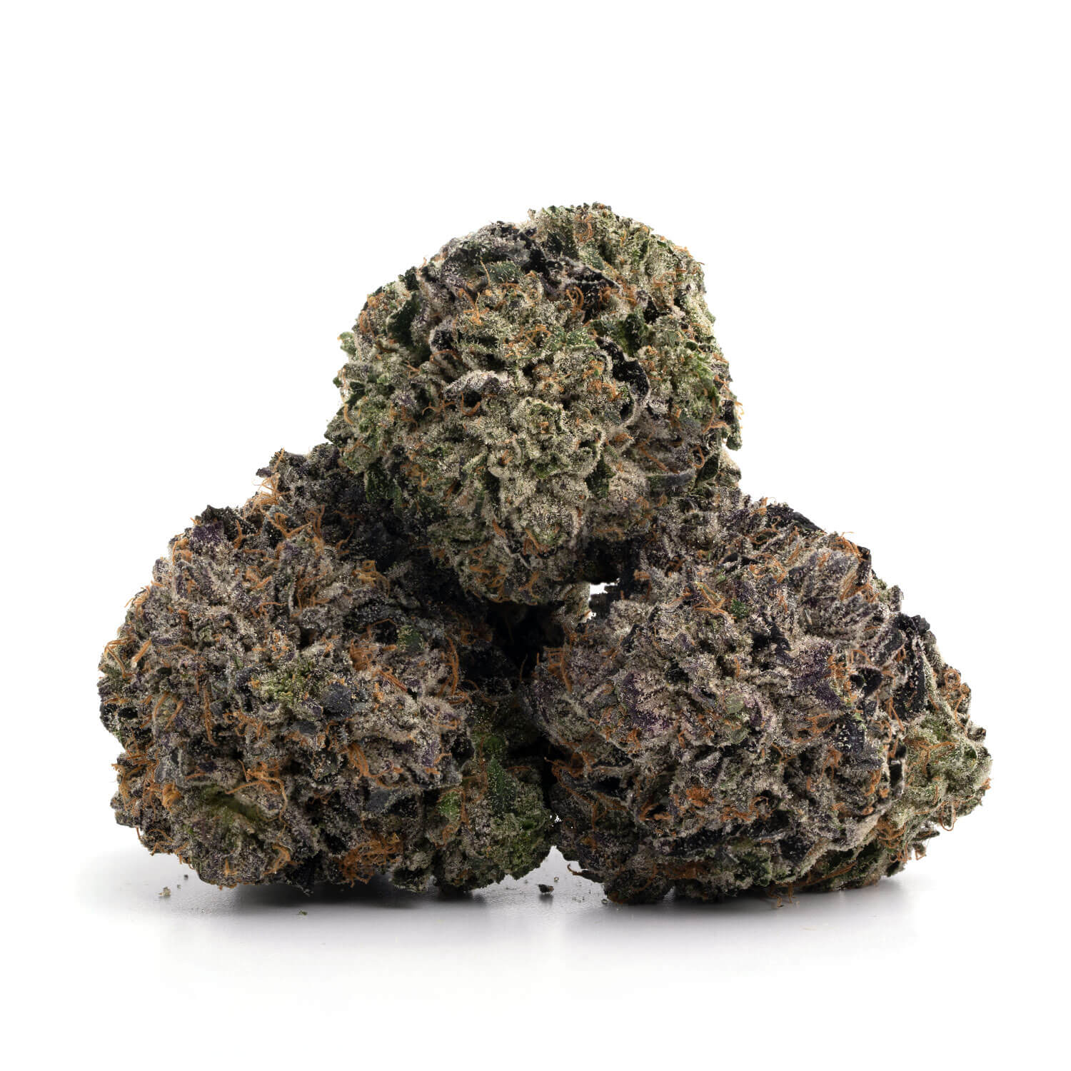 Black-Death-Tuna-7