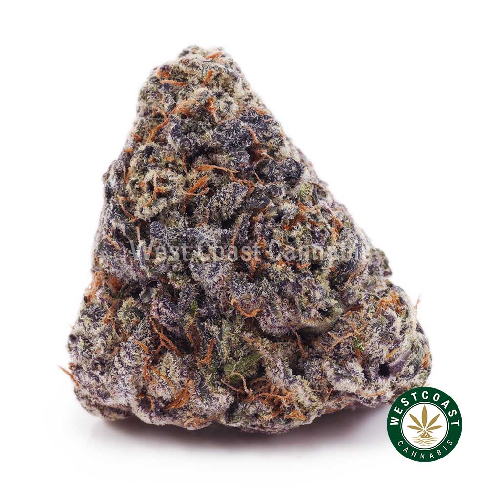 Buy Blackberry Gelato AAAA wc cannabis weed dispensary & online pot shop Buy Blackberry Gelato AAAA wc cannabis weed dispensary & online pot shop