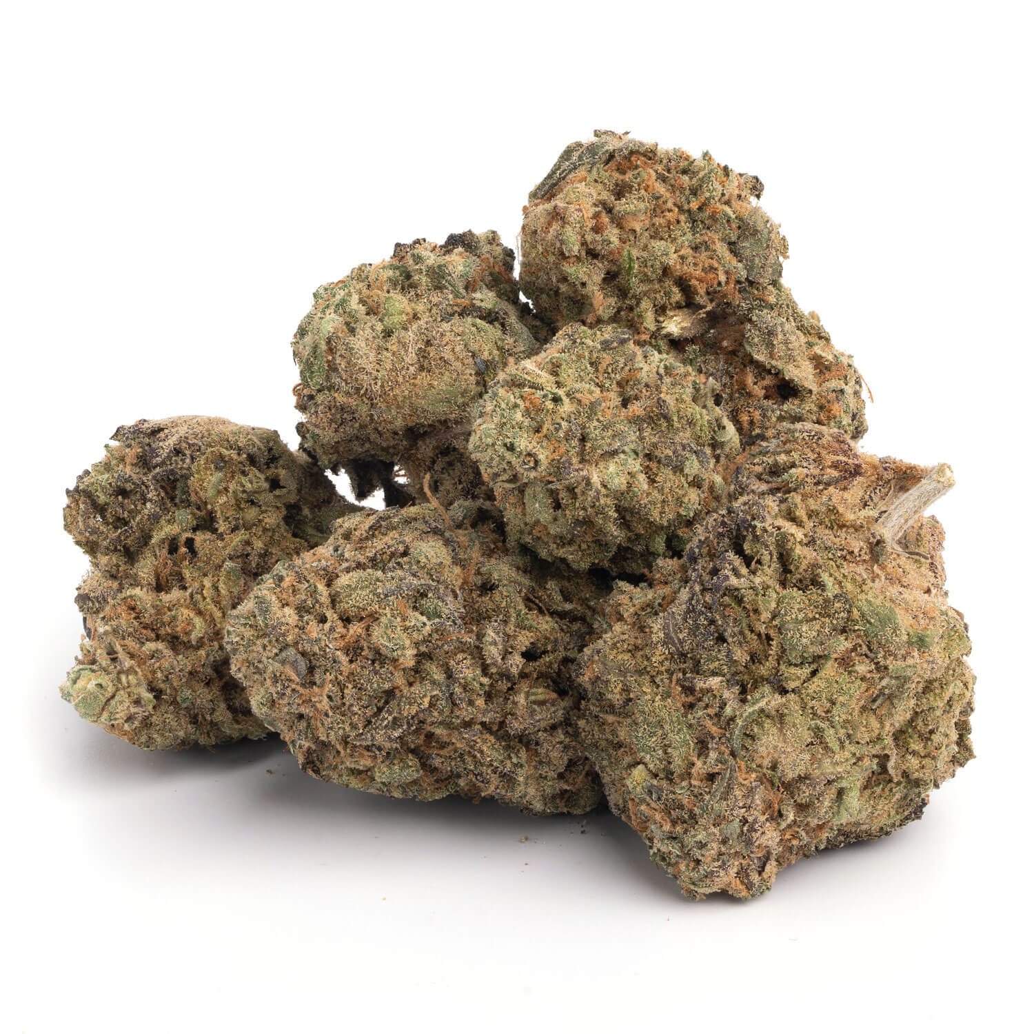 Blue-Afghani-11