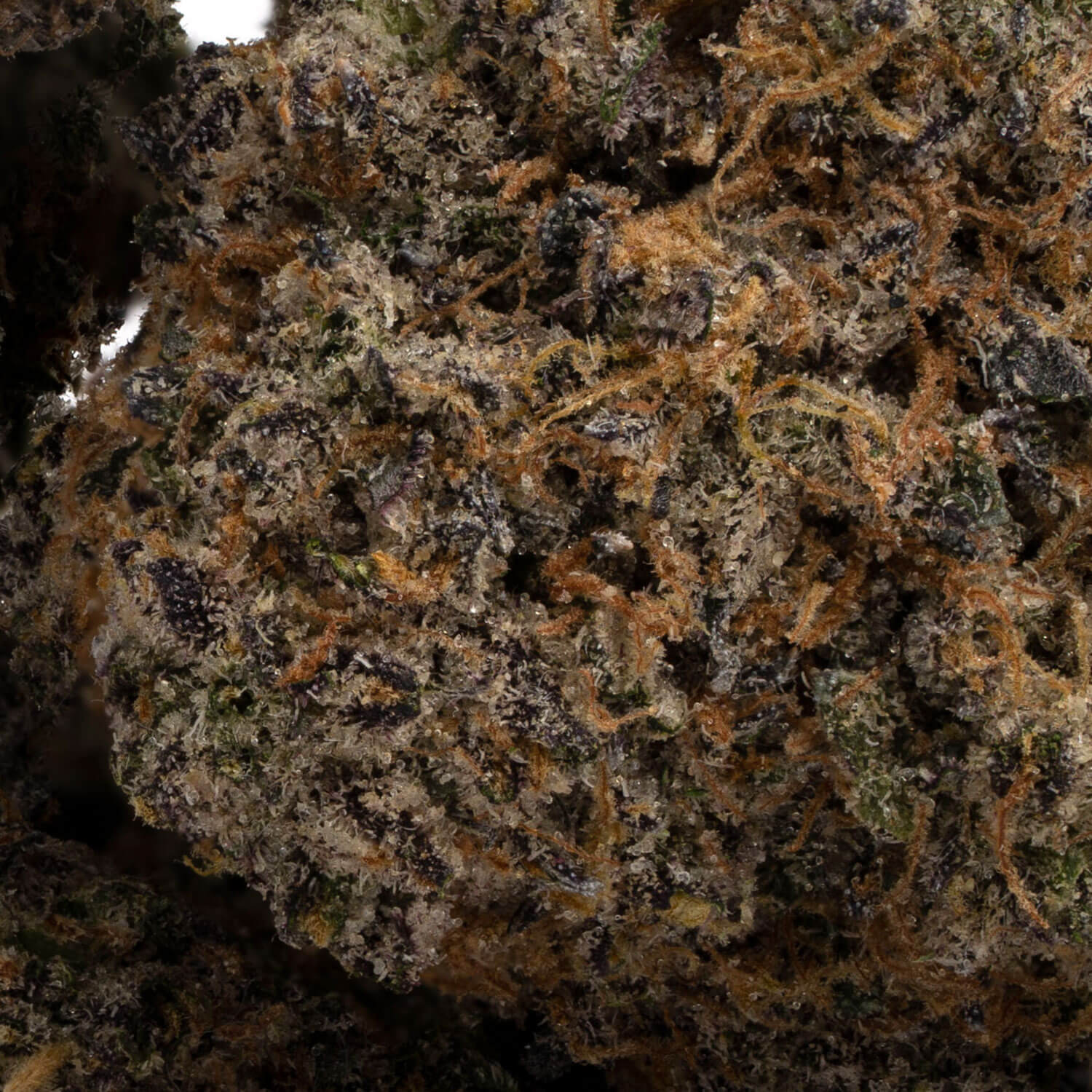 Blue-Gushers-10