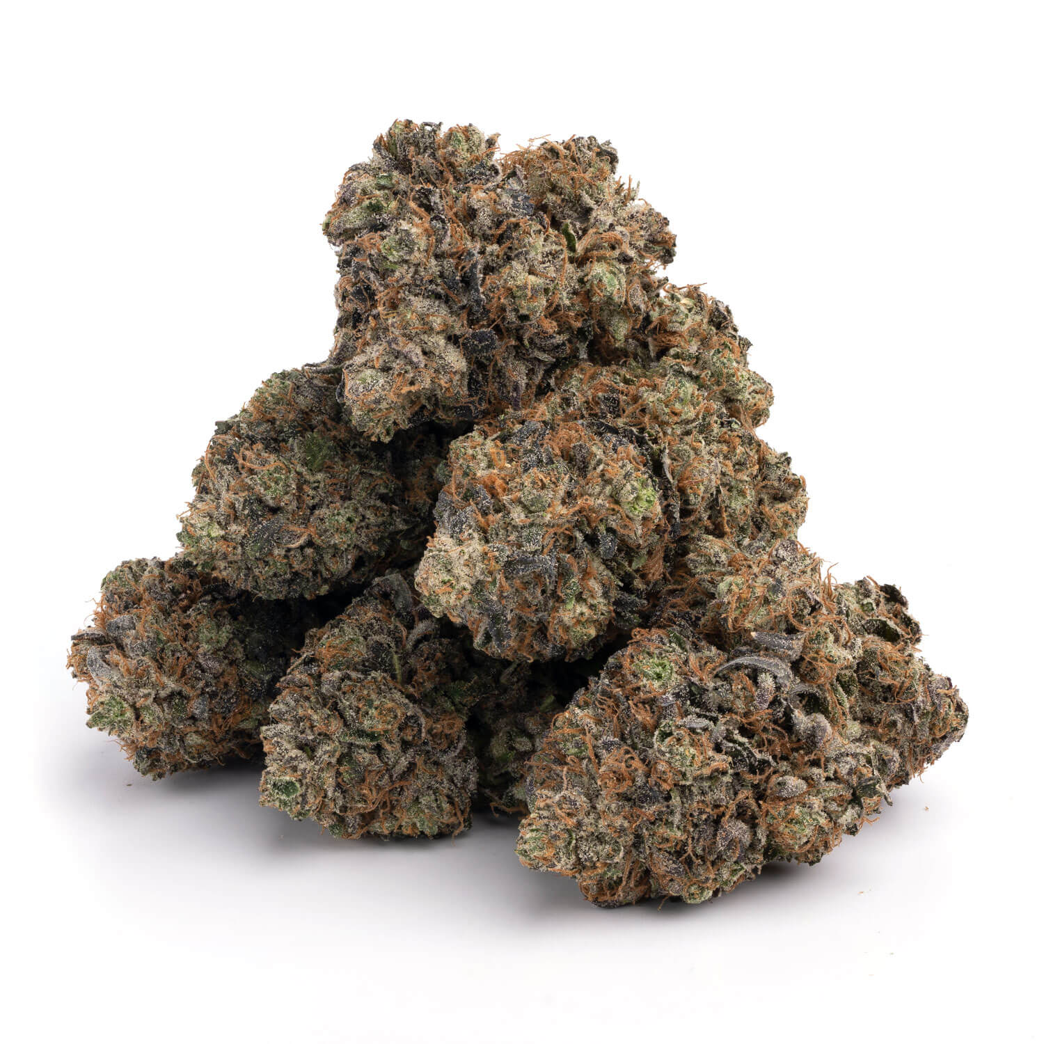Bruce-Banner-11