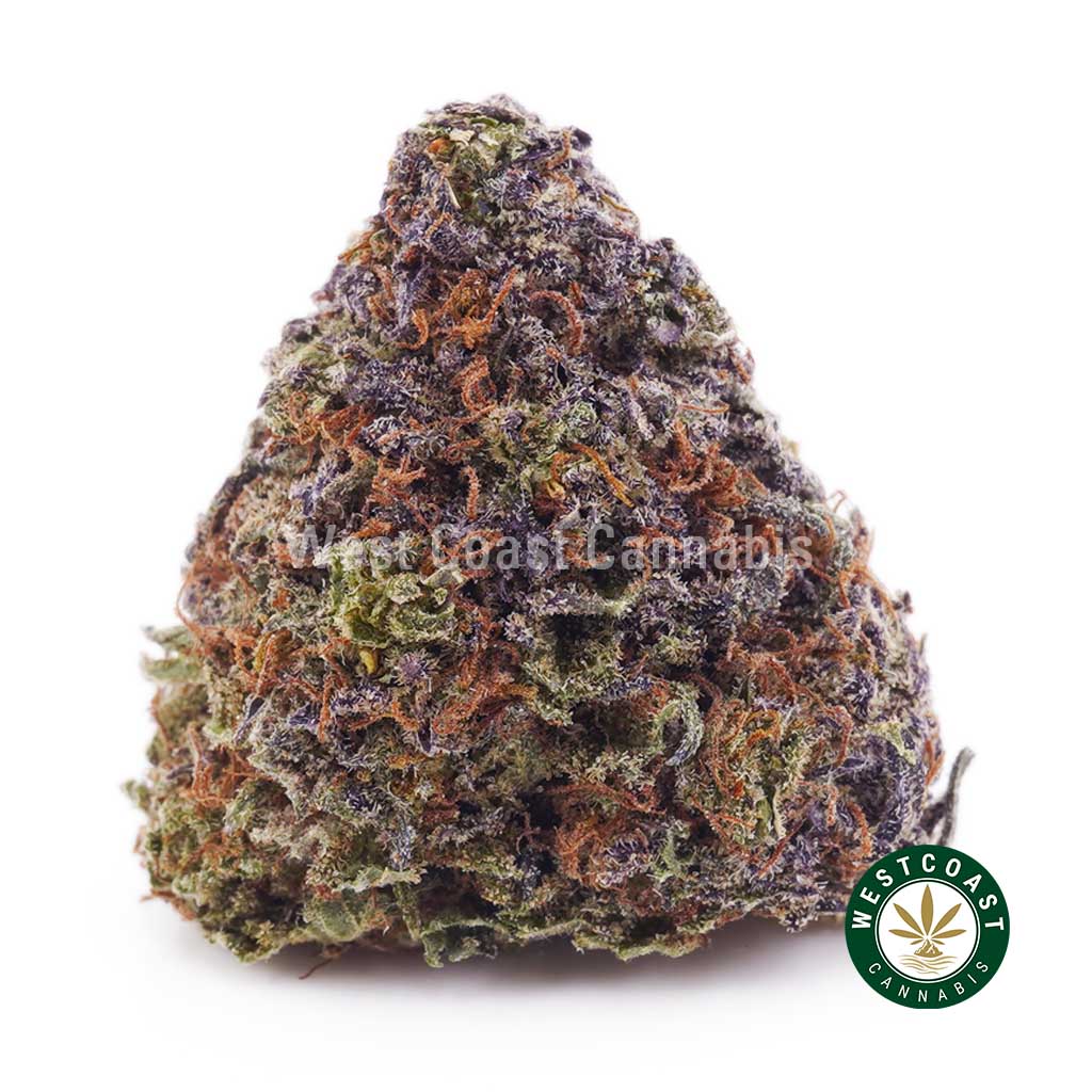 Buy Cali Kush AA wc cannabis weed dispensary & online pot shop Buy Cali Kush AA wc cannabis weed dispensary & online pot shop
