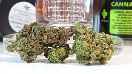Can You Mix Different Strains of Weed? Exploring the Dynamics of Blending