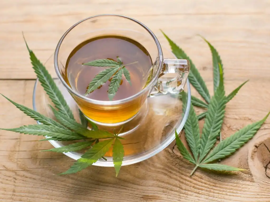 How to Make Cannabis-Infused Drinks?