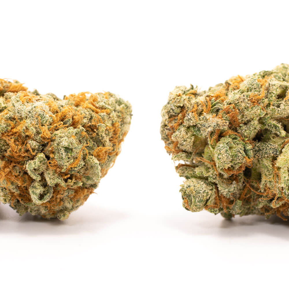 Cannatonic-2