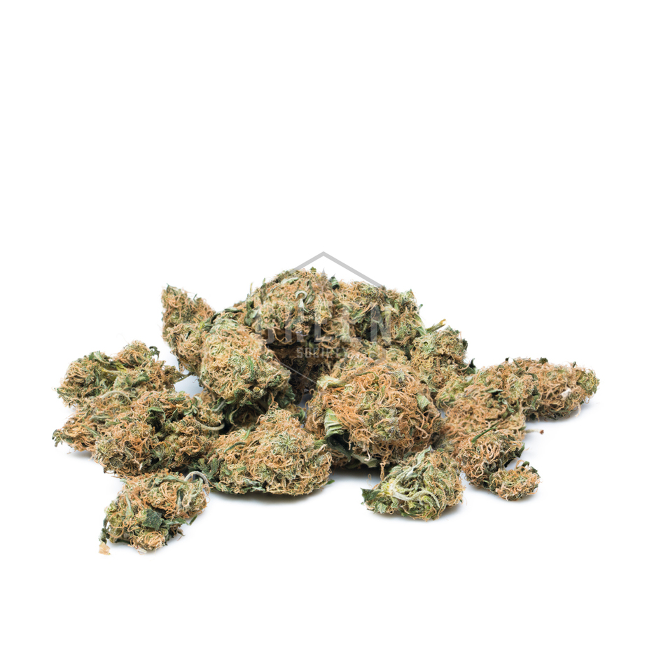 Cannatonic-Small-Buds-New-2