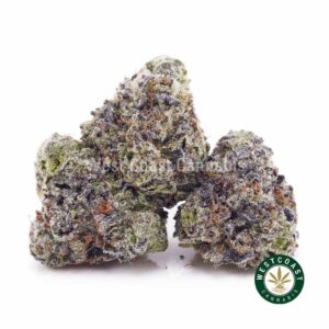 Buy Cinderella 99 AAAA (Popcorn Nugs) wc cannabis weed dispensary & online pot shop
