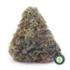 Buy Cookie Stomper AAAA wc cannabis weed dispensary & online pot shop
