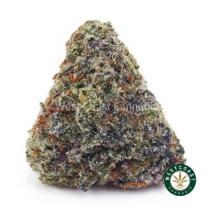 Buy Cookie Stomper AAAA wc cannabis weed dispensary & online pot shop