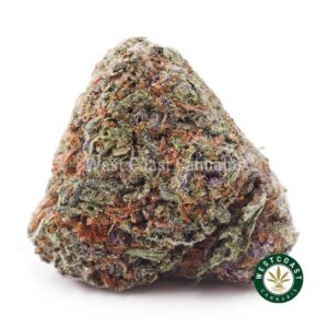 Critical Kush AA product image