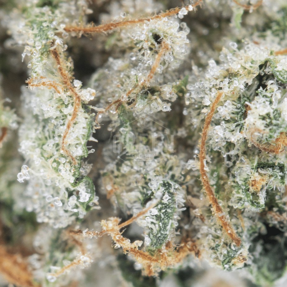 Deadhead-OG-Macro-1