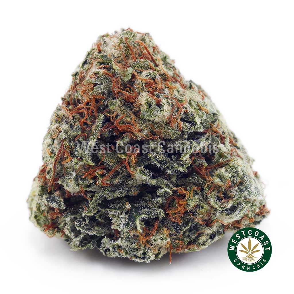 Buy Death Star AA wc cannabis weed dispensary & online pot shop Buy Death Star AA wc cannabis weed dispensary & online pot shop