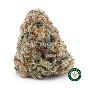 Dolato AA product image