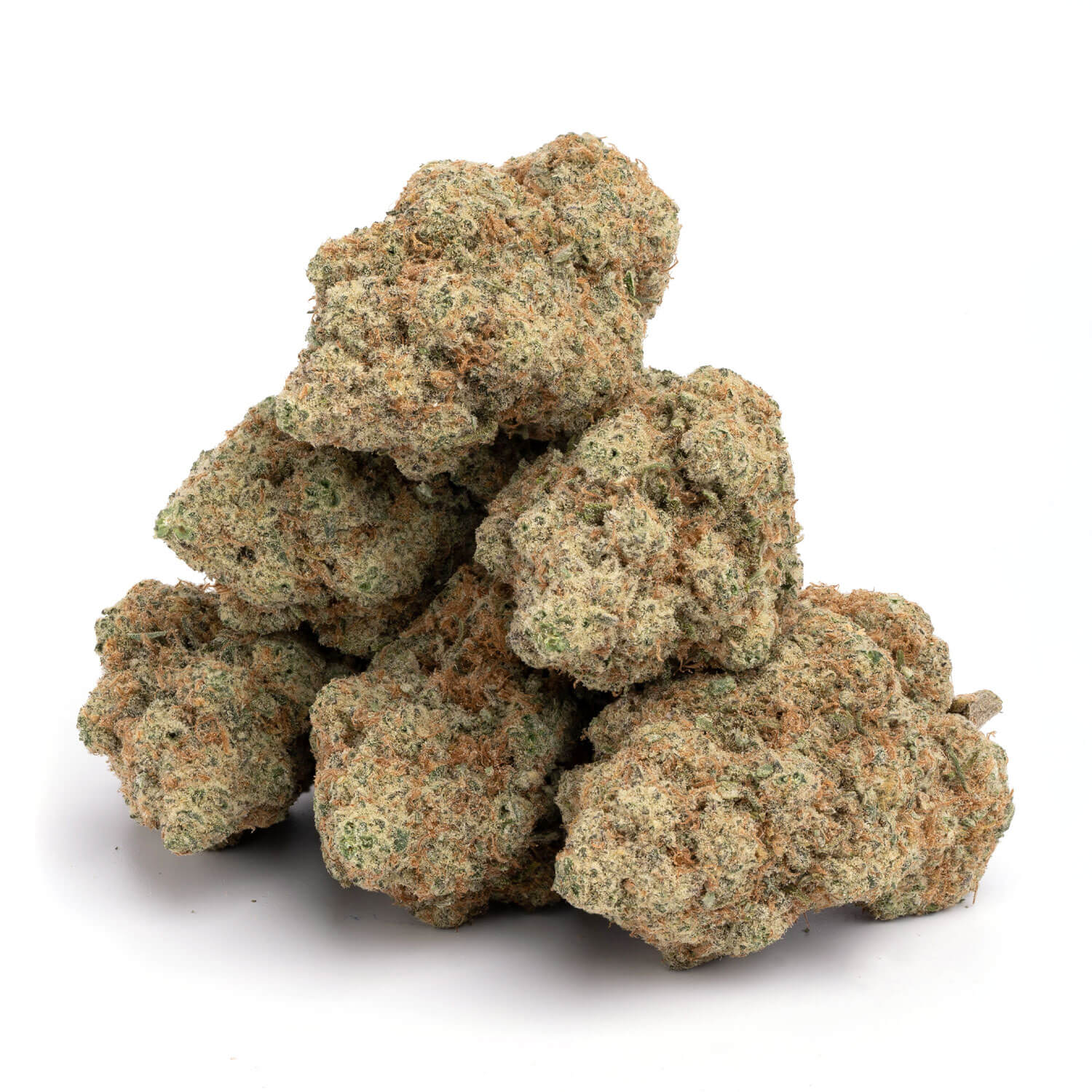 Dutch-Treat-11