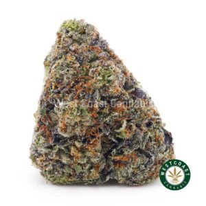 El Chapo AA product image