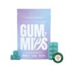 Euphoria Cannabis – Blue Raspberry Gummies 500mg THC product image