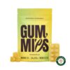 Euphoria Cannabis – Pineapple Gummies 1000mg THC product image