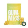 Euphoria Cannabis – Pineapple Gummies 500mg THC product image