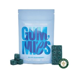 Euphoria Psychedelics – Blue Raspberry 1000mg product image