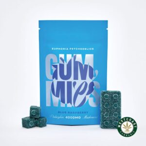 Euphoria Psychedelics – Blue Raspberry 4000mg product image