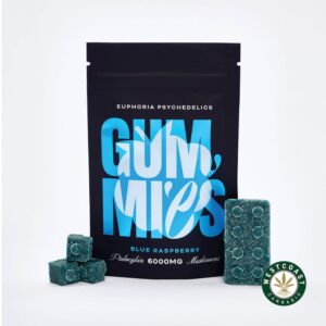 Euphoria Psychedelics – Blue Raspberry 6000mg product image