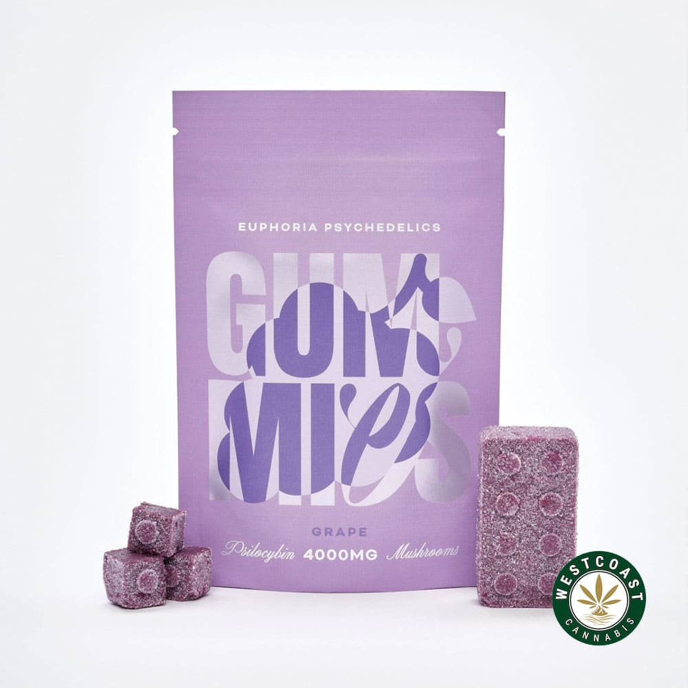 Euphoria Psychedelics – Grape 4000mg Euphoria Psychedelics – Grape 4000mg product image