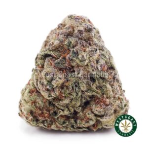 Buy Forum Cut Cookies AAA wc cannabis weed dispensary & online pot shop