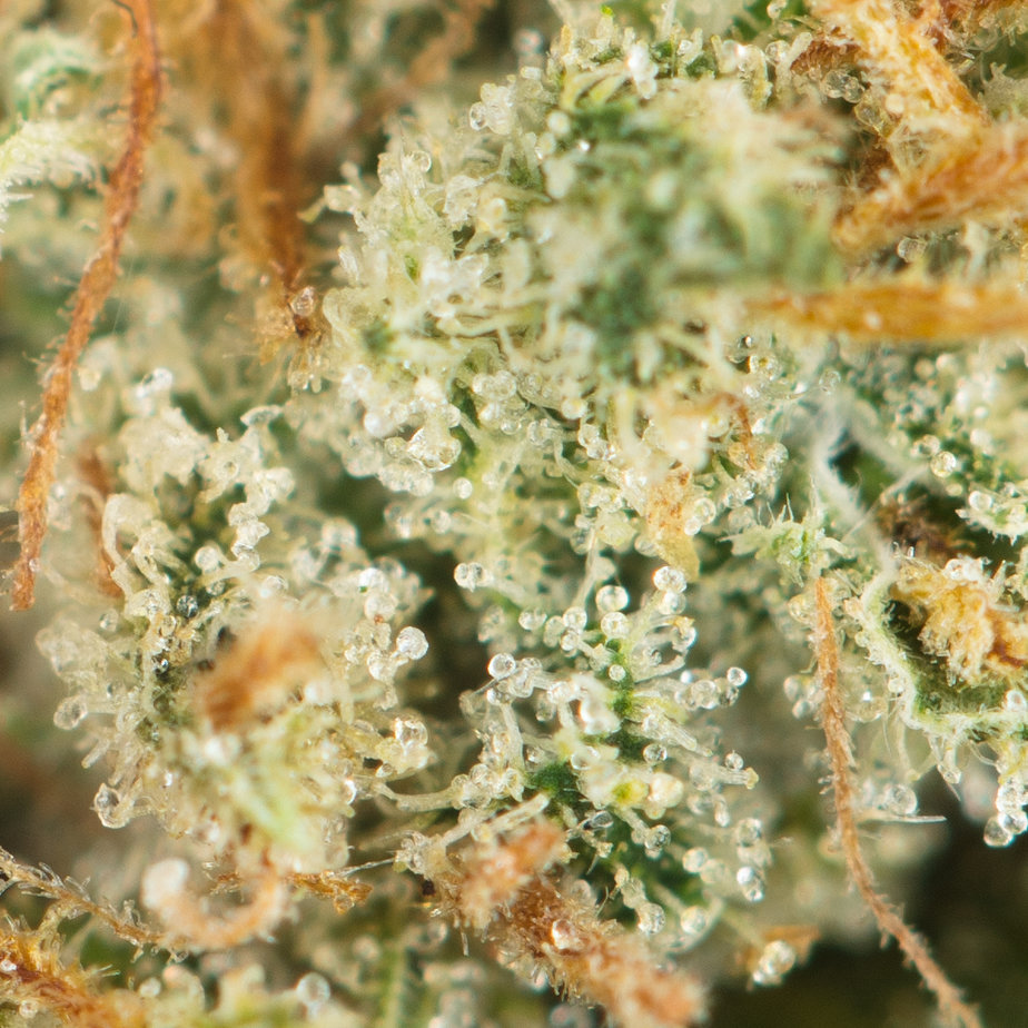 Ghost-Train-Haze-Macro