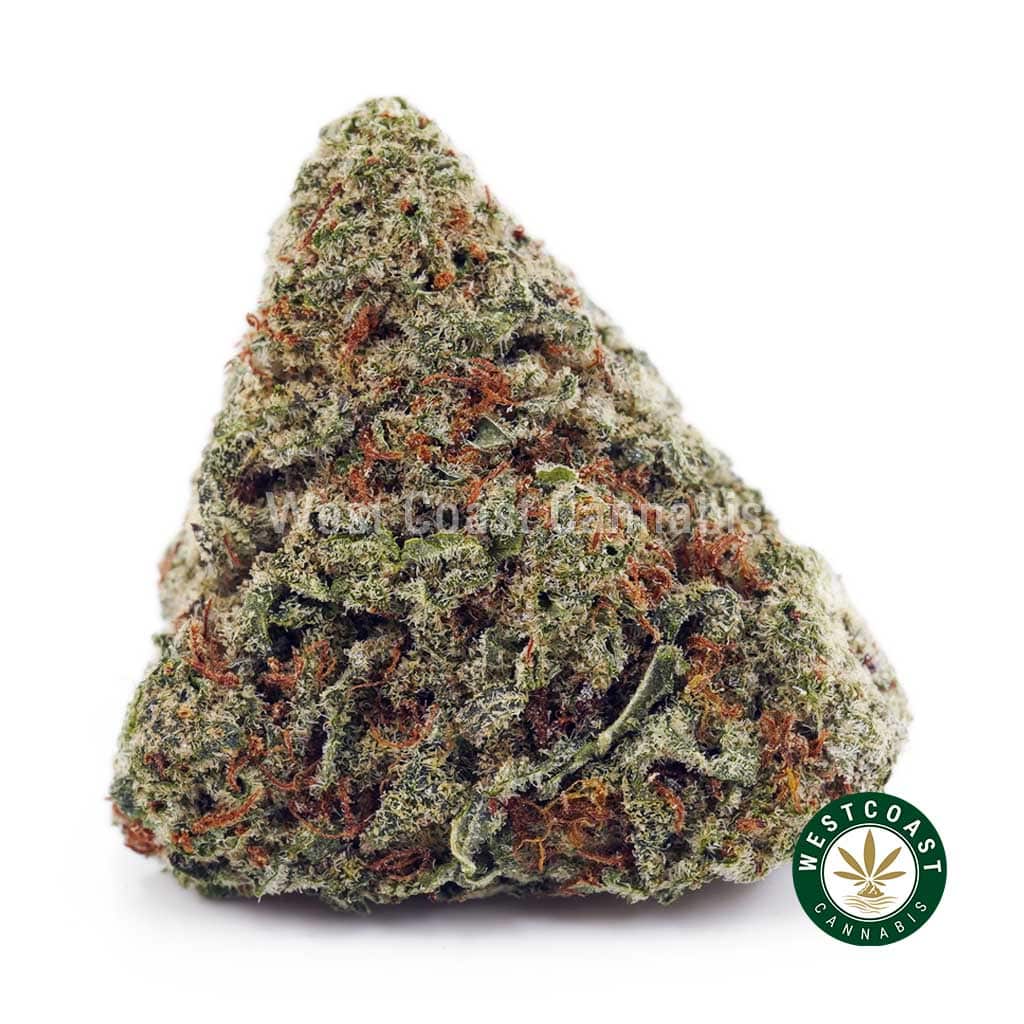 Buy Girl Scout Cookies (GSC) AAA wc cannabis weed dispensary & online pot shop Girl Scout Cookies (GSC) AAA product image