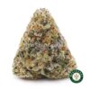 Gorilla Goo AA product image