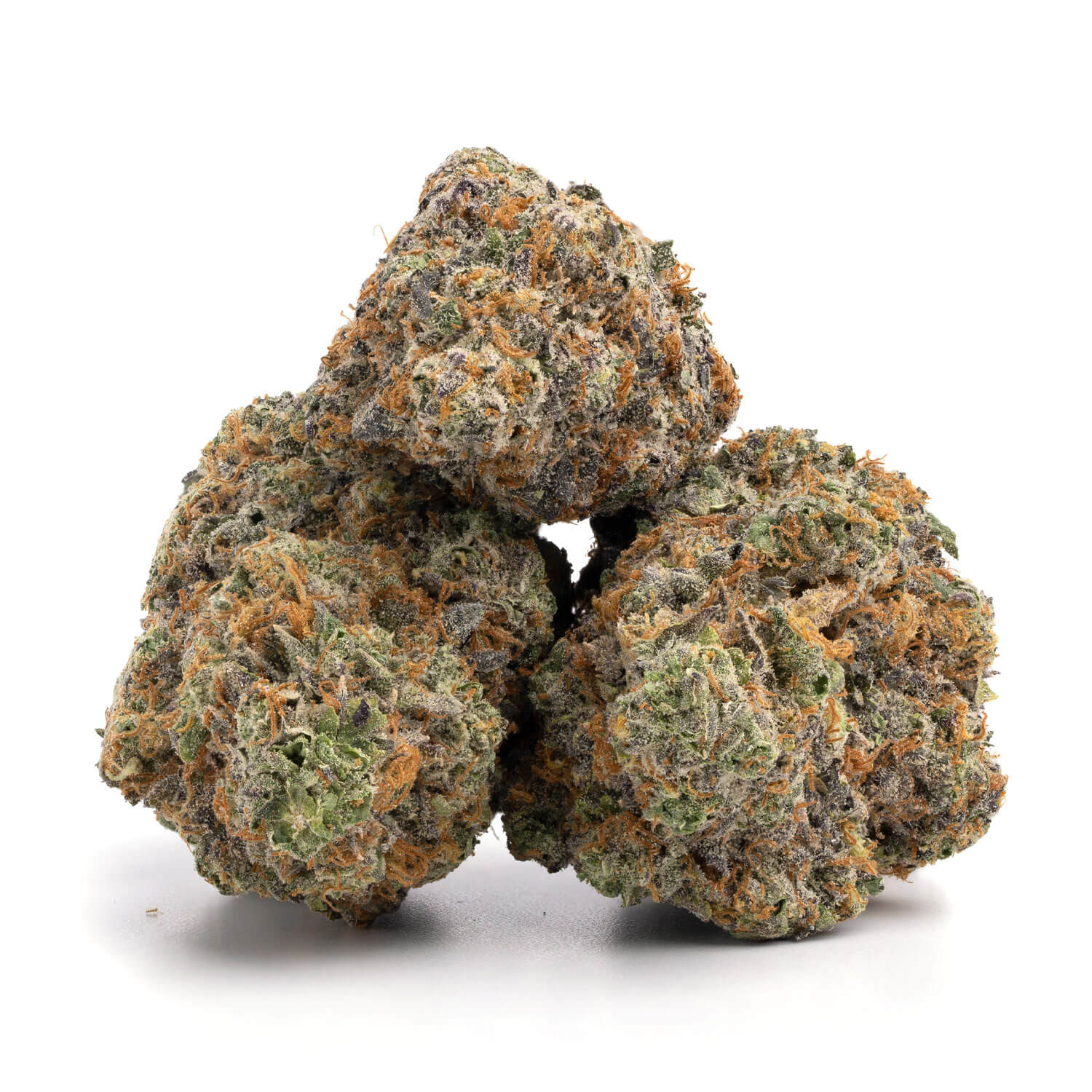 Grand-Daddy-Purple-7