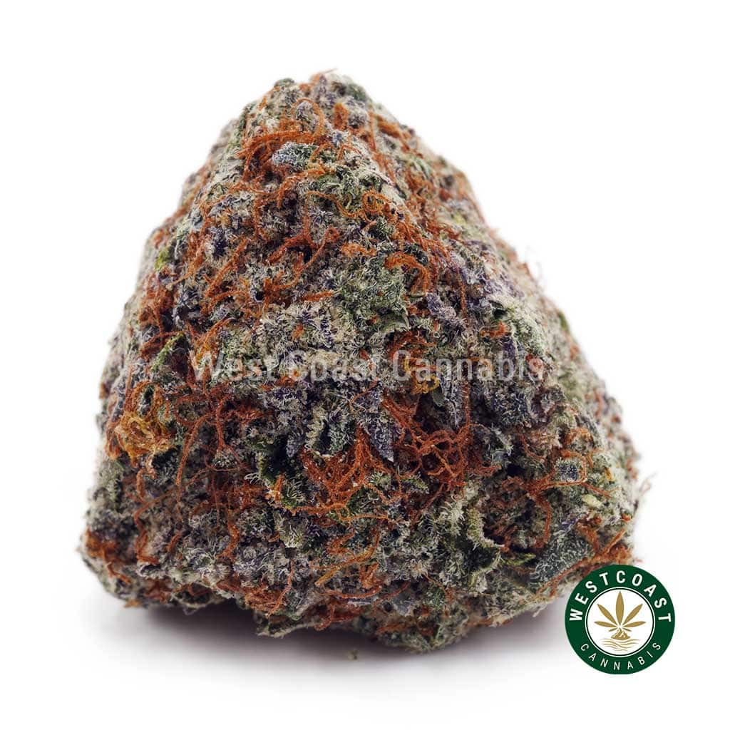 Buy Grape Stomper AAA wc cannabis weed dispensary & online pot shop Grape Stomper AAA product image