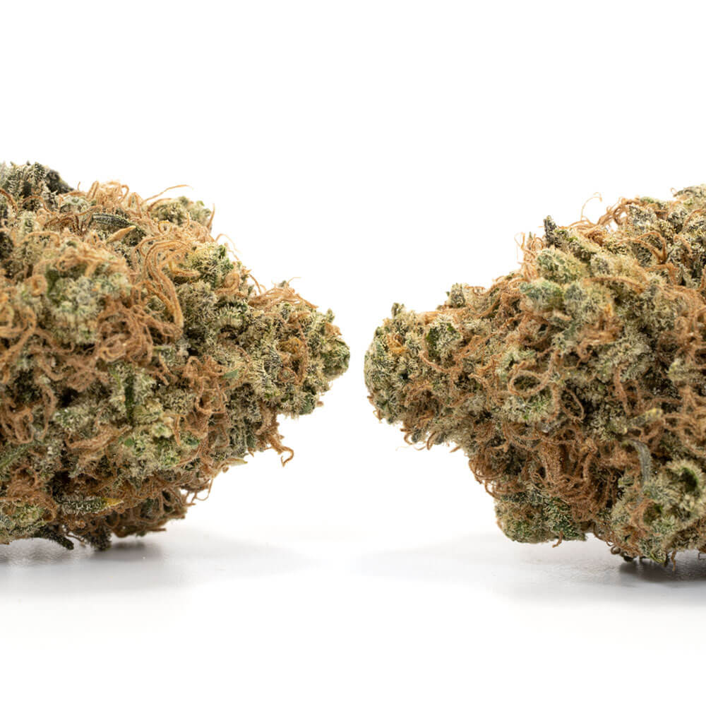 Honeydew-Haze-2