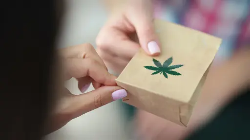 How Do Weed Delivery Services Work? Exploring Convenience and Discretion