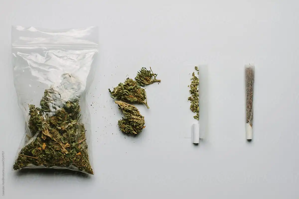 How Long is Weed Good in Plastic Bag