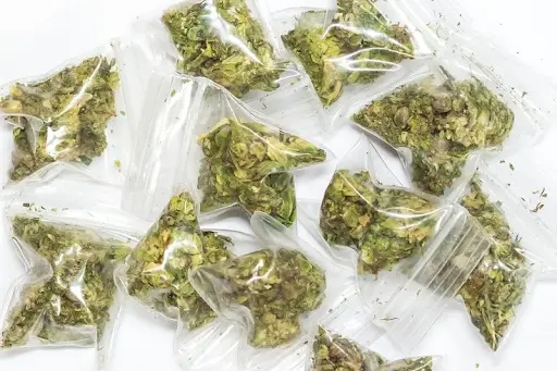 How Much for a Pound of Kush? Exploring Costs and Considerations