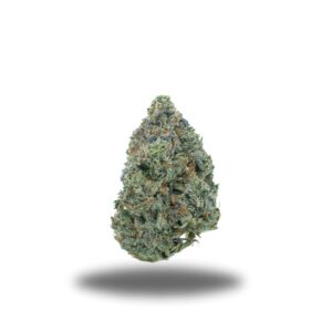 Coquitlam Weed Delivery
